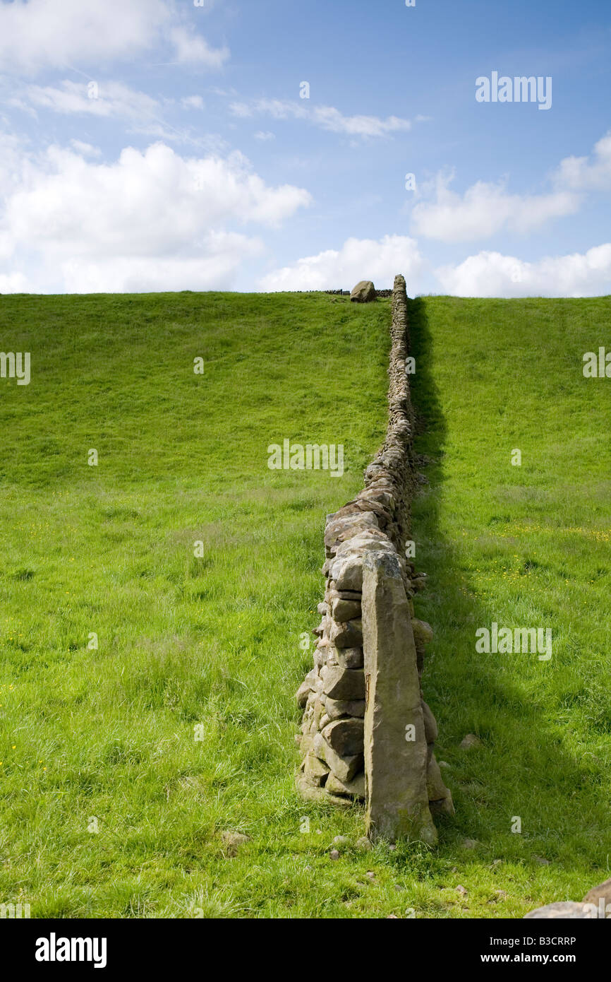 Traditional stone wall over farmland near Lancaster Stock Photo