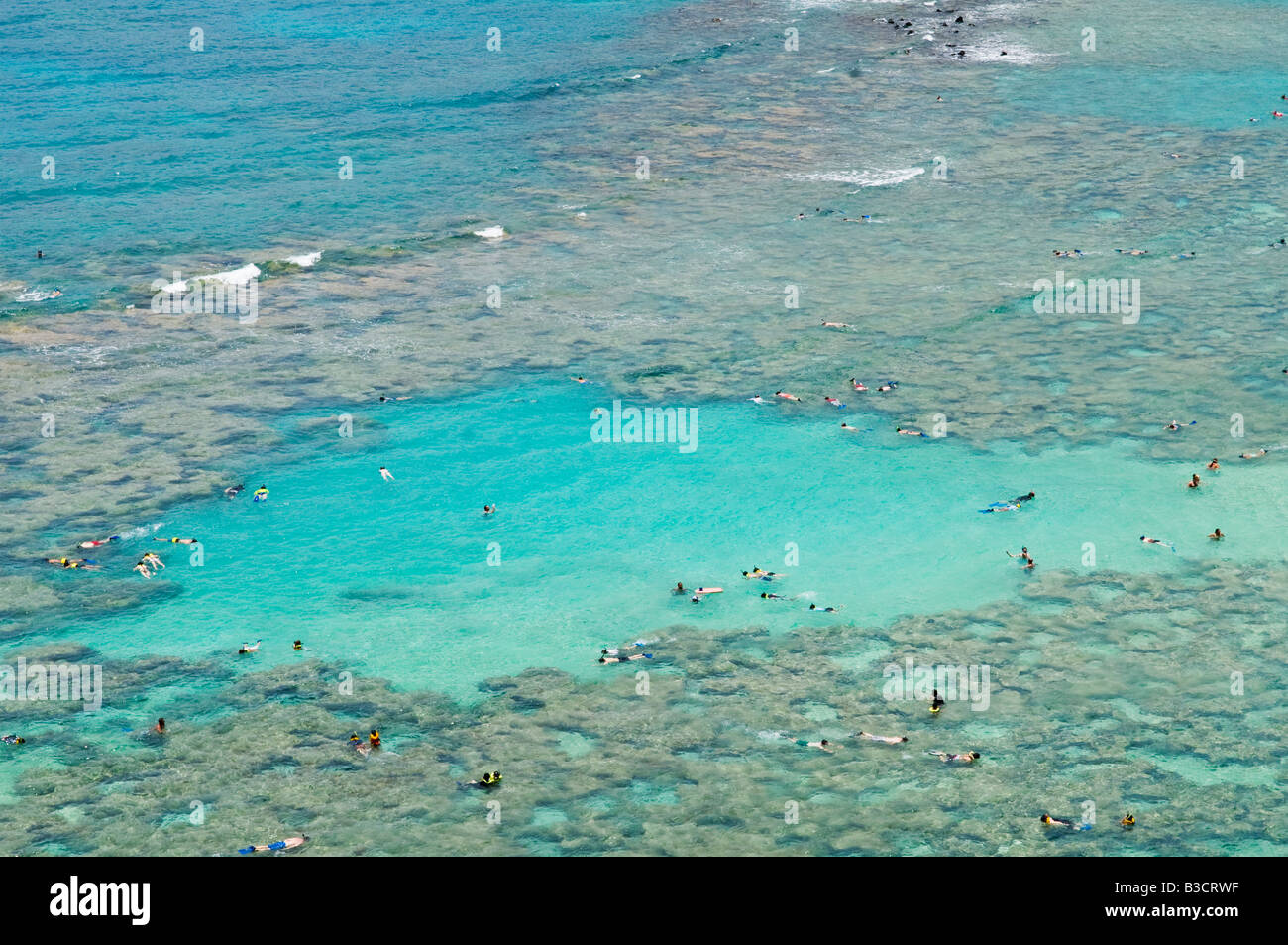 Tourists snorkel at tropical reefs at Hanauma Bay, Oahu, Hawaii Stock Photo