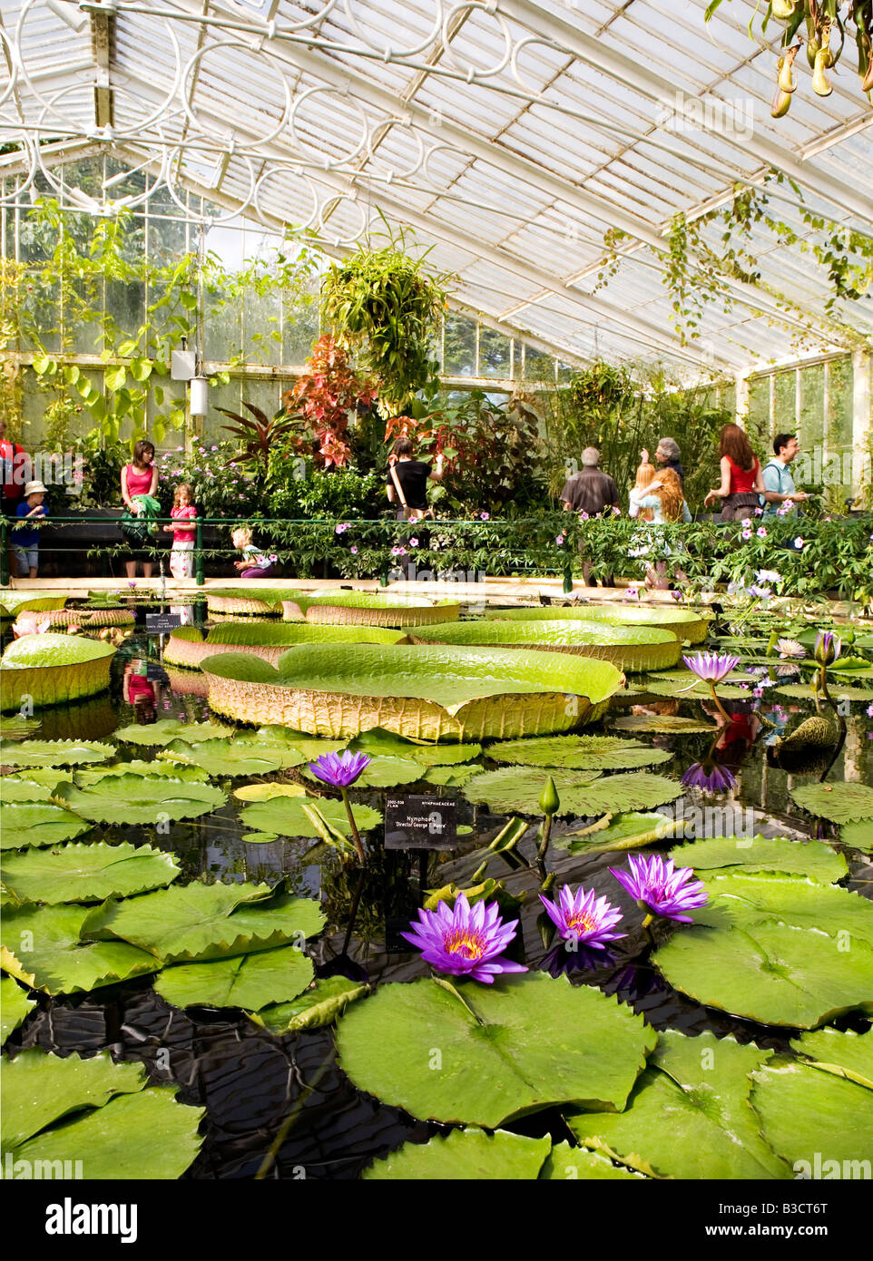 Waterlily House, Kew Gardens, London Stock Photo Alamy