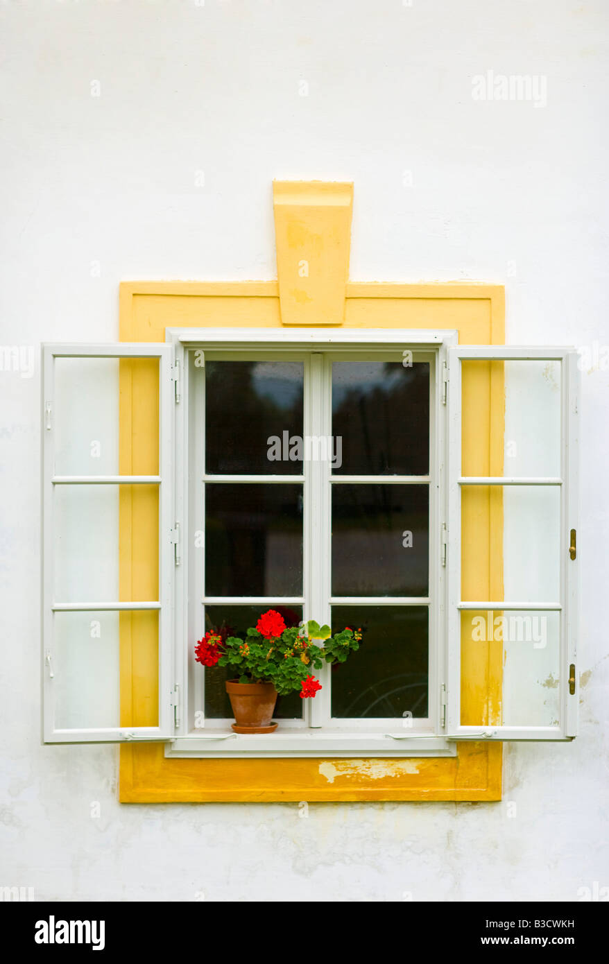 Flower pot on a window sill Stock Photo - Alamy