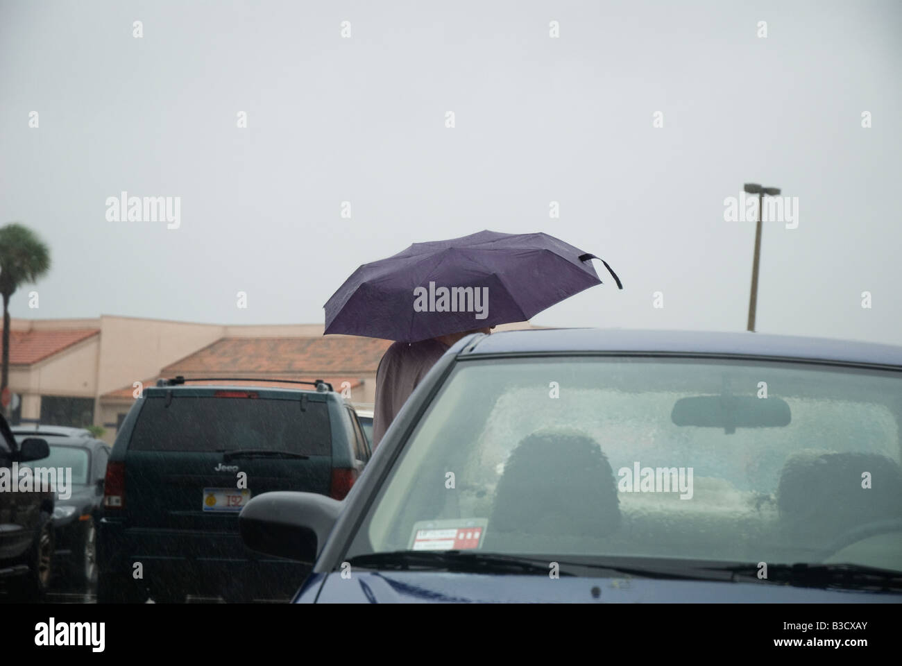 rain from Tropical Storm Fay Gainesville Florida 8 22 08 Stock Photo