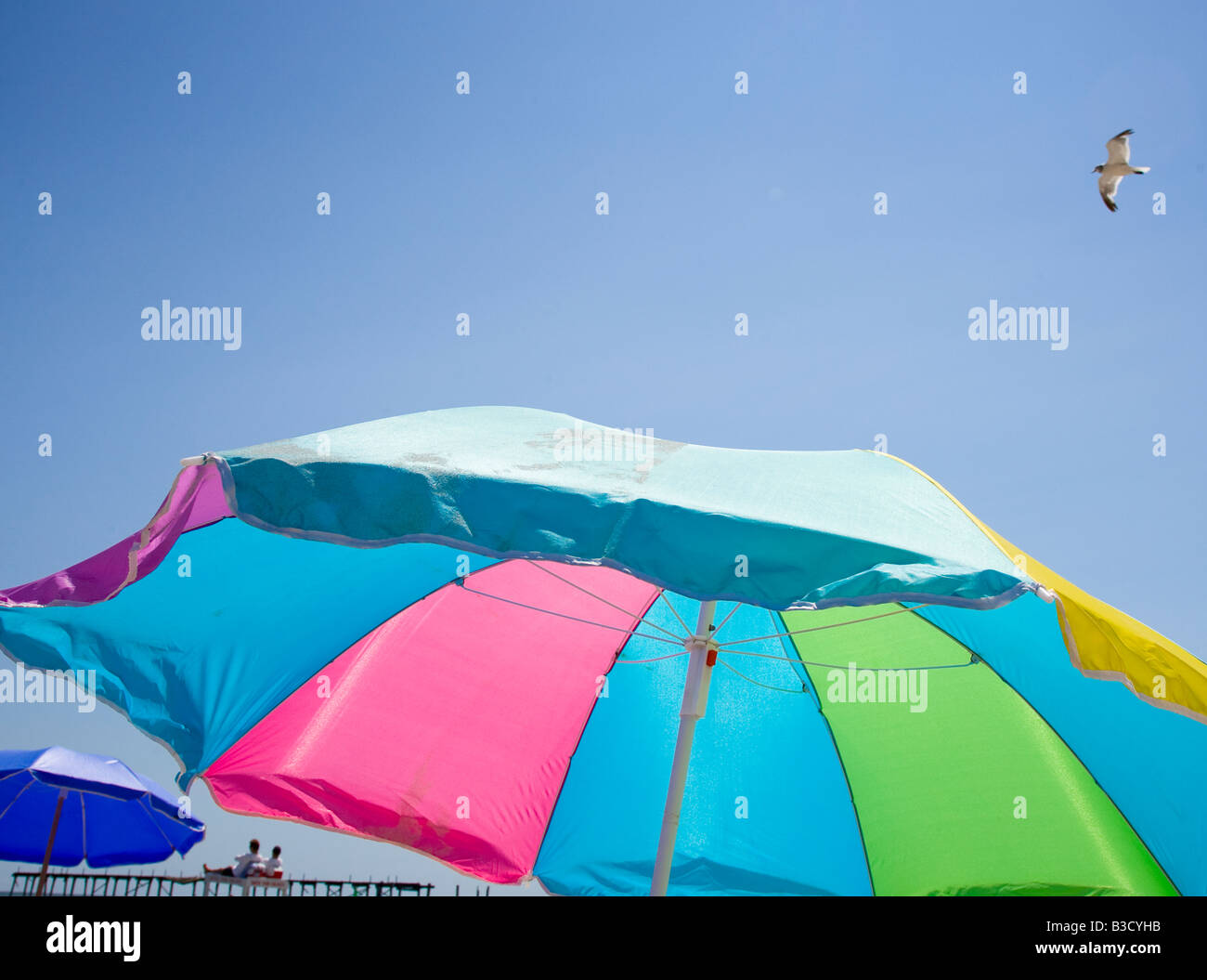 Beach umbrellas on a beach Stock Photo Alamy