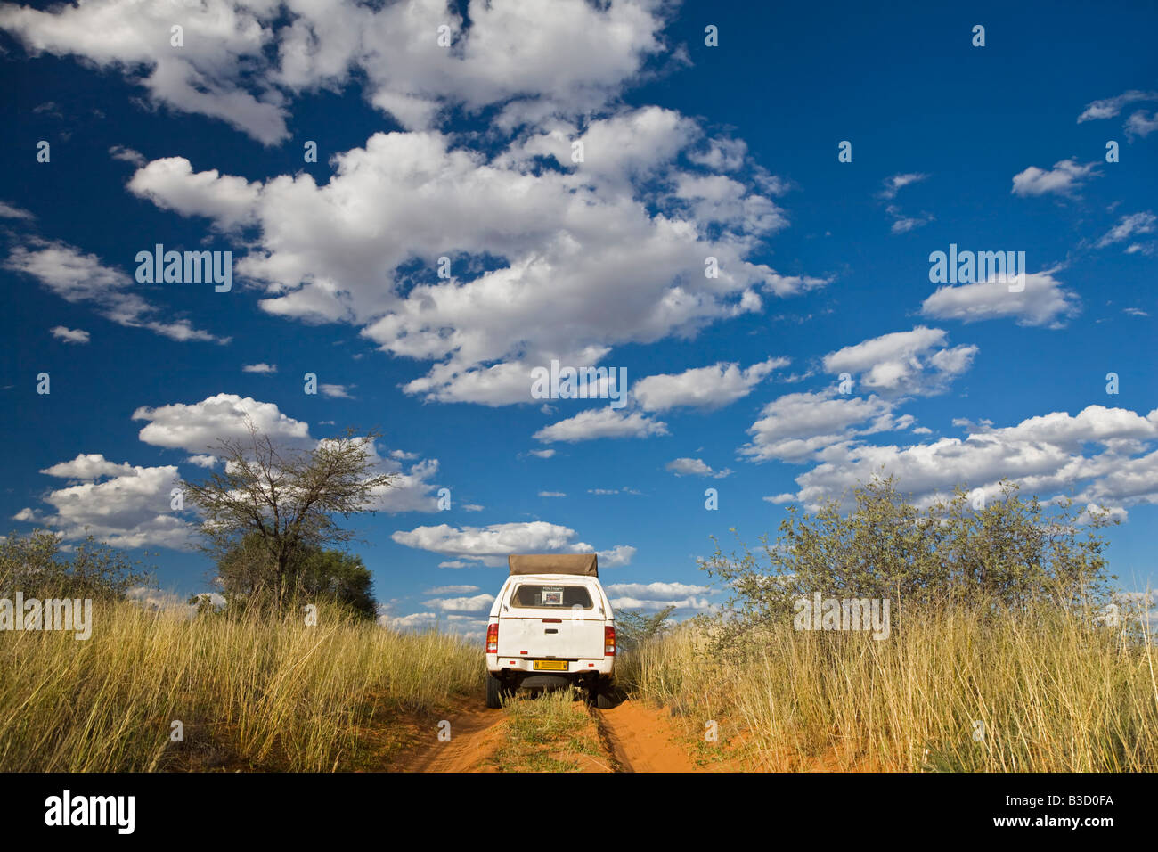 Africa, Botswana, Vehicle on track Stock Photo