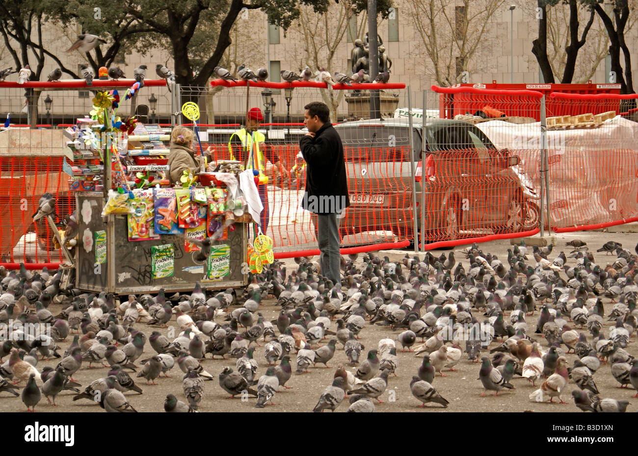 Flock of pigeons in Barcelona, Spain Stock Photo
