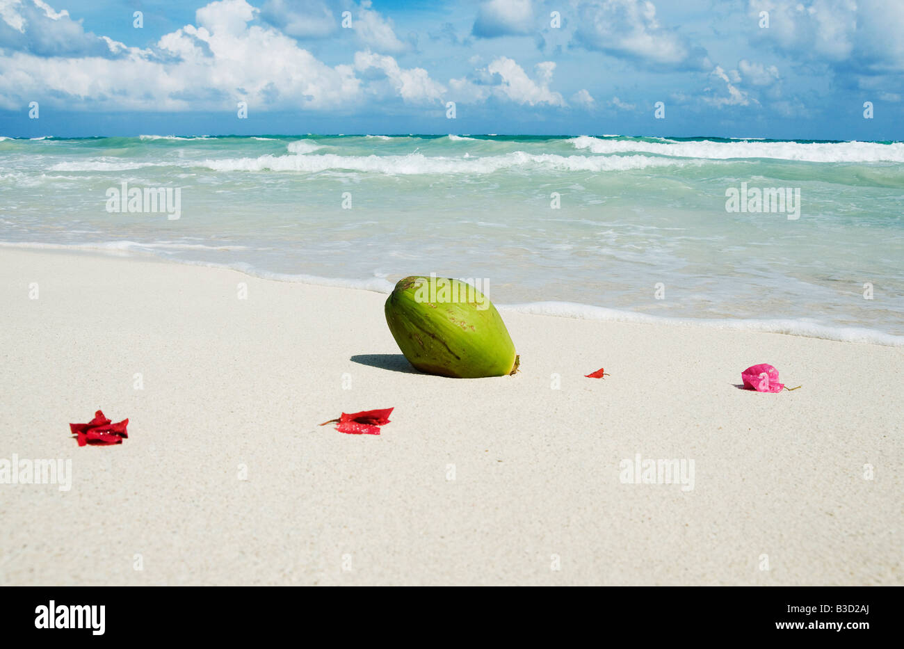 Mexiko, Yucatan, Petals on the beach Stock Photo