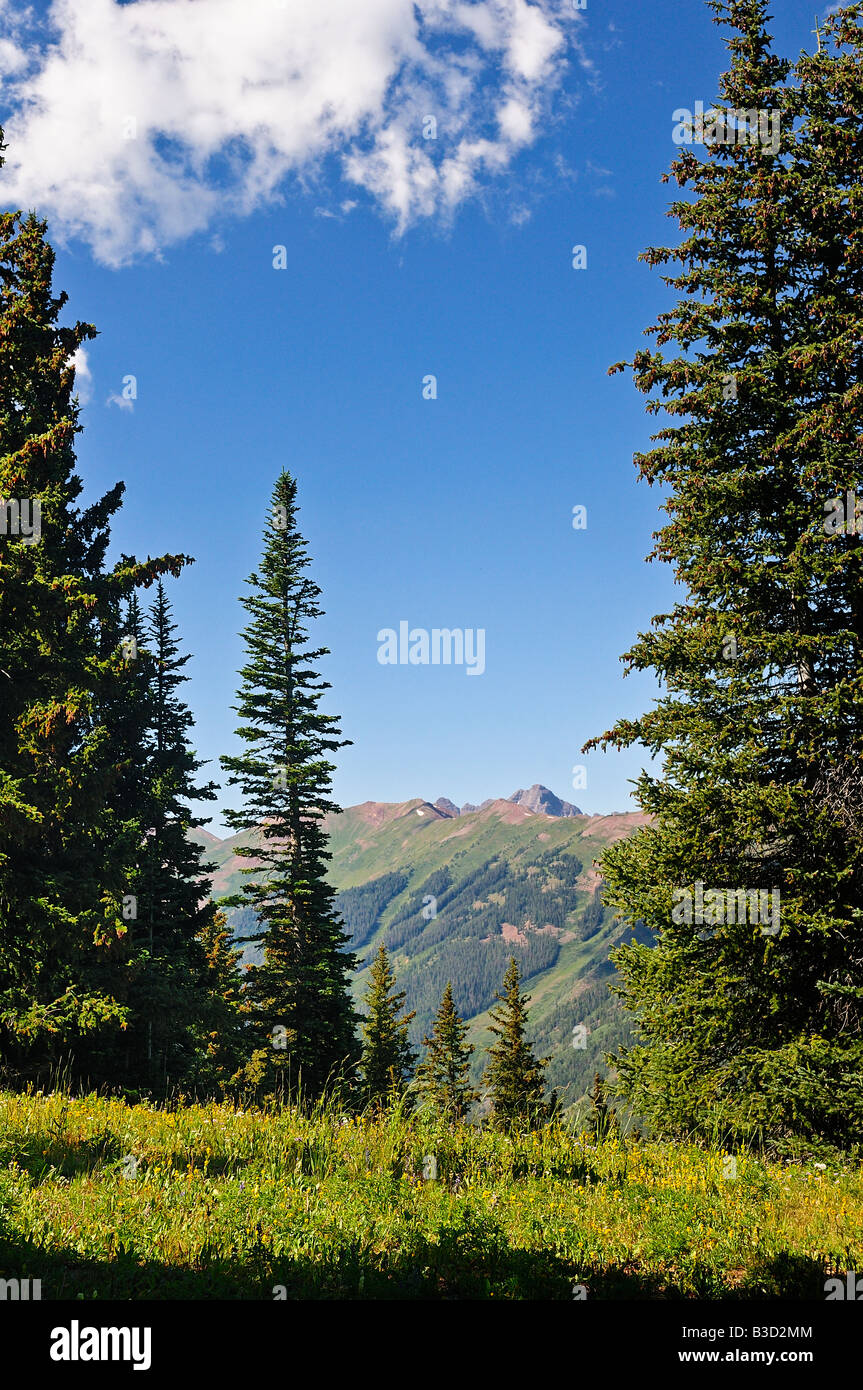 View from the top of Ajax Mountain in Aspen Colorado during the summer looking west toward Elk Mountain Range Stock Photo