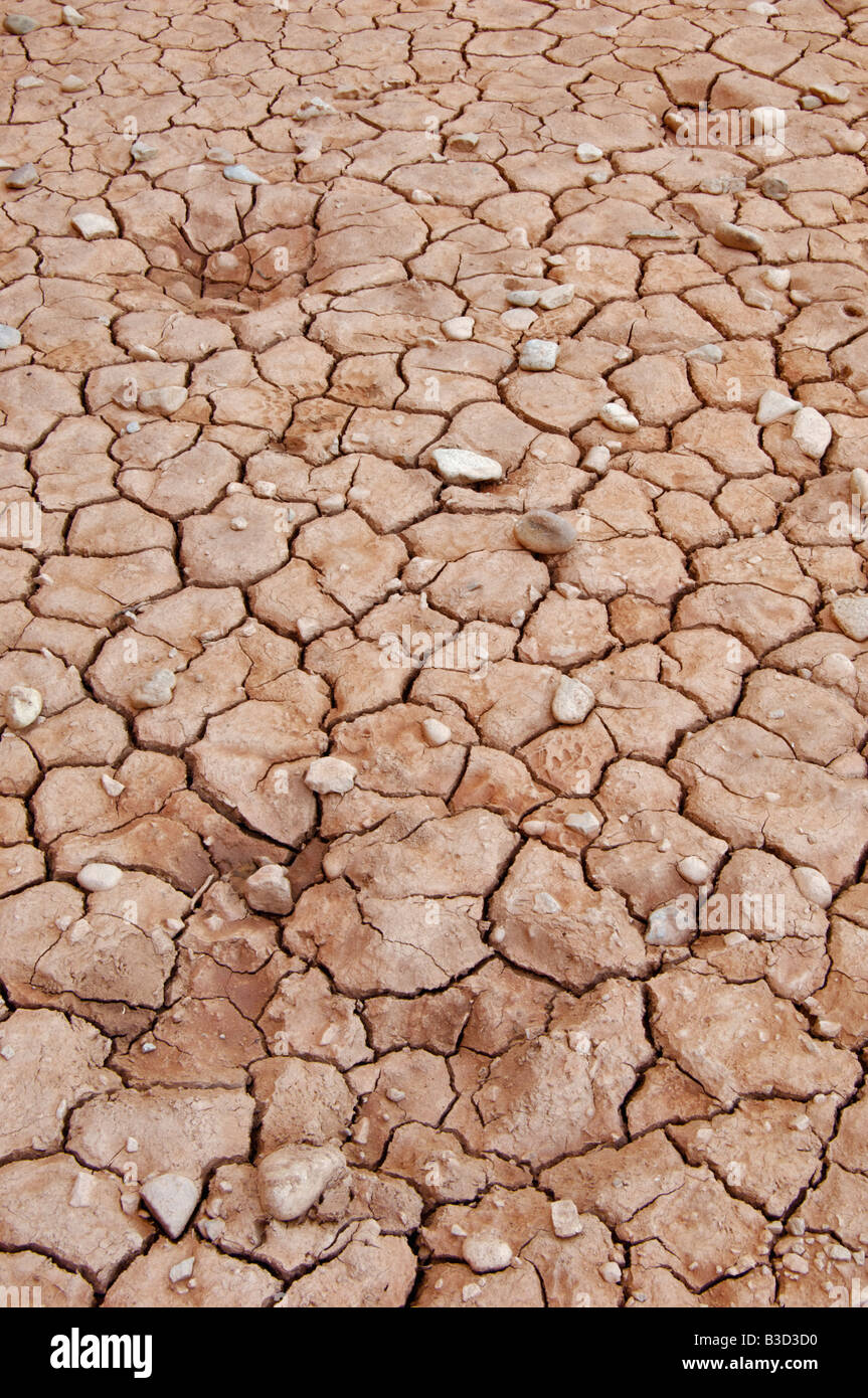 Dry and Cracked Mud on Desert Floor in Arches National Park Utah Stock