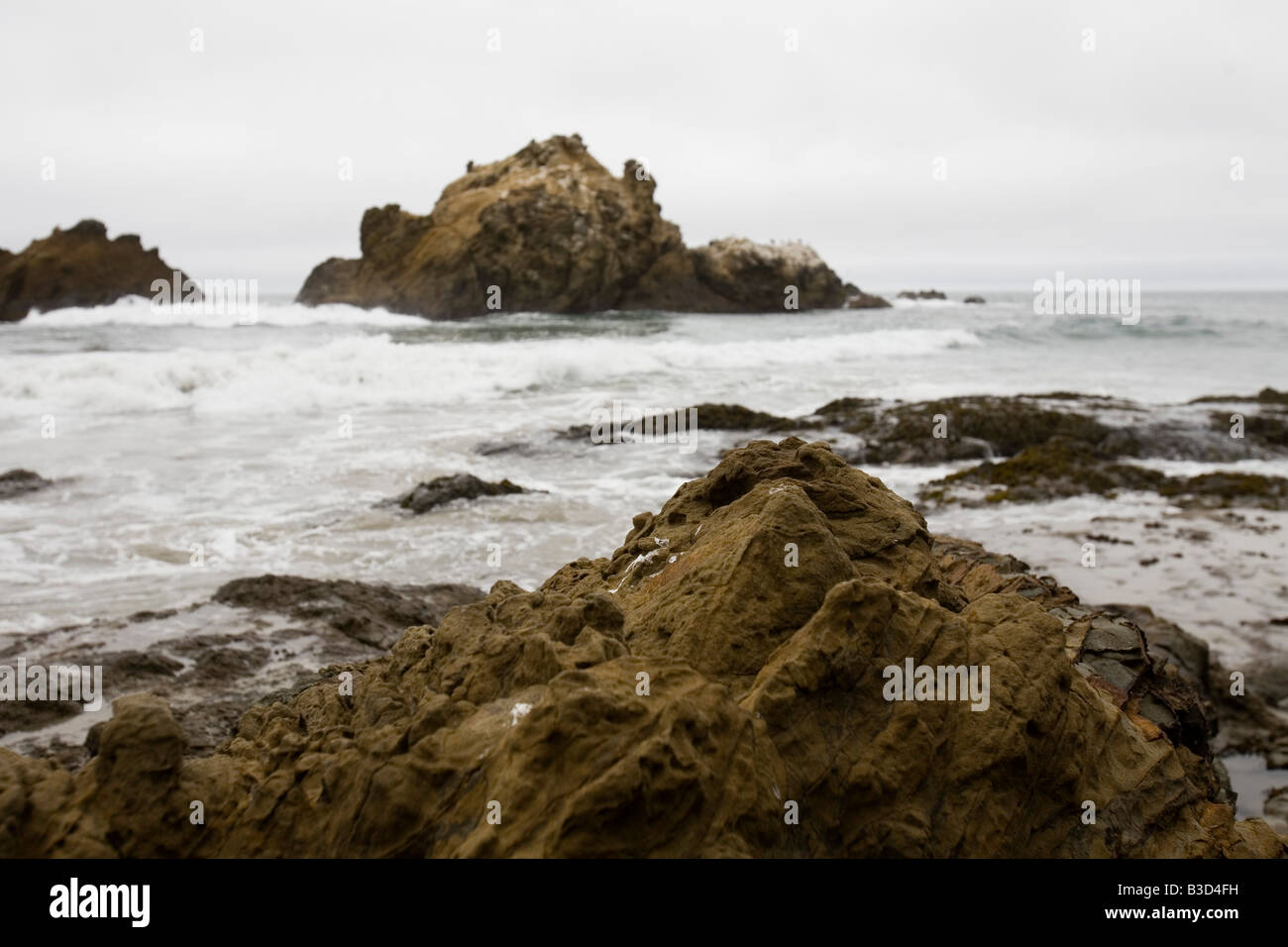 Pfeiffer Beach Big Sur CA USA California Stock Photo - Alamy