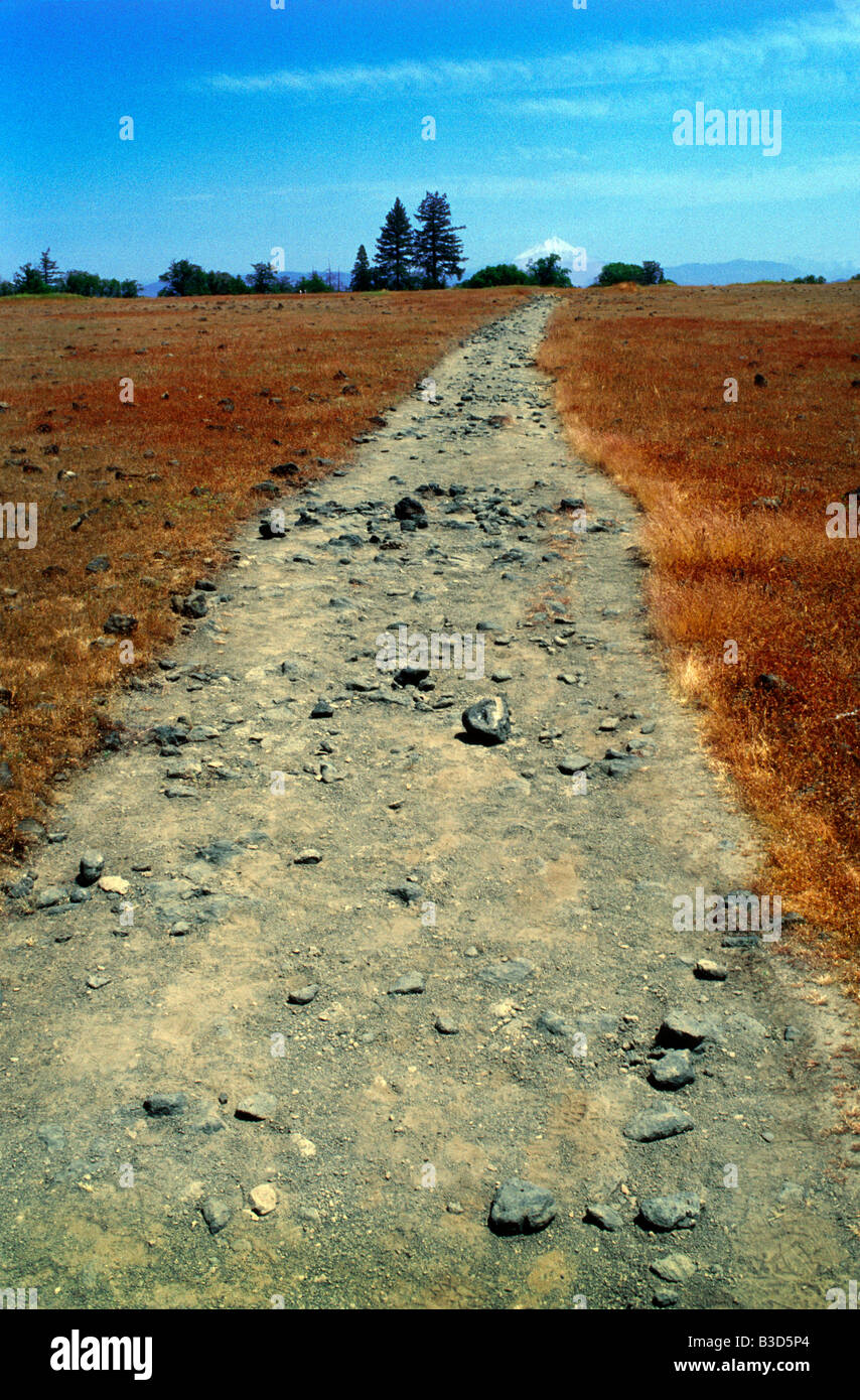 A rocky dirt road in the country leads to somewhere or nowhere. Stock Photo