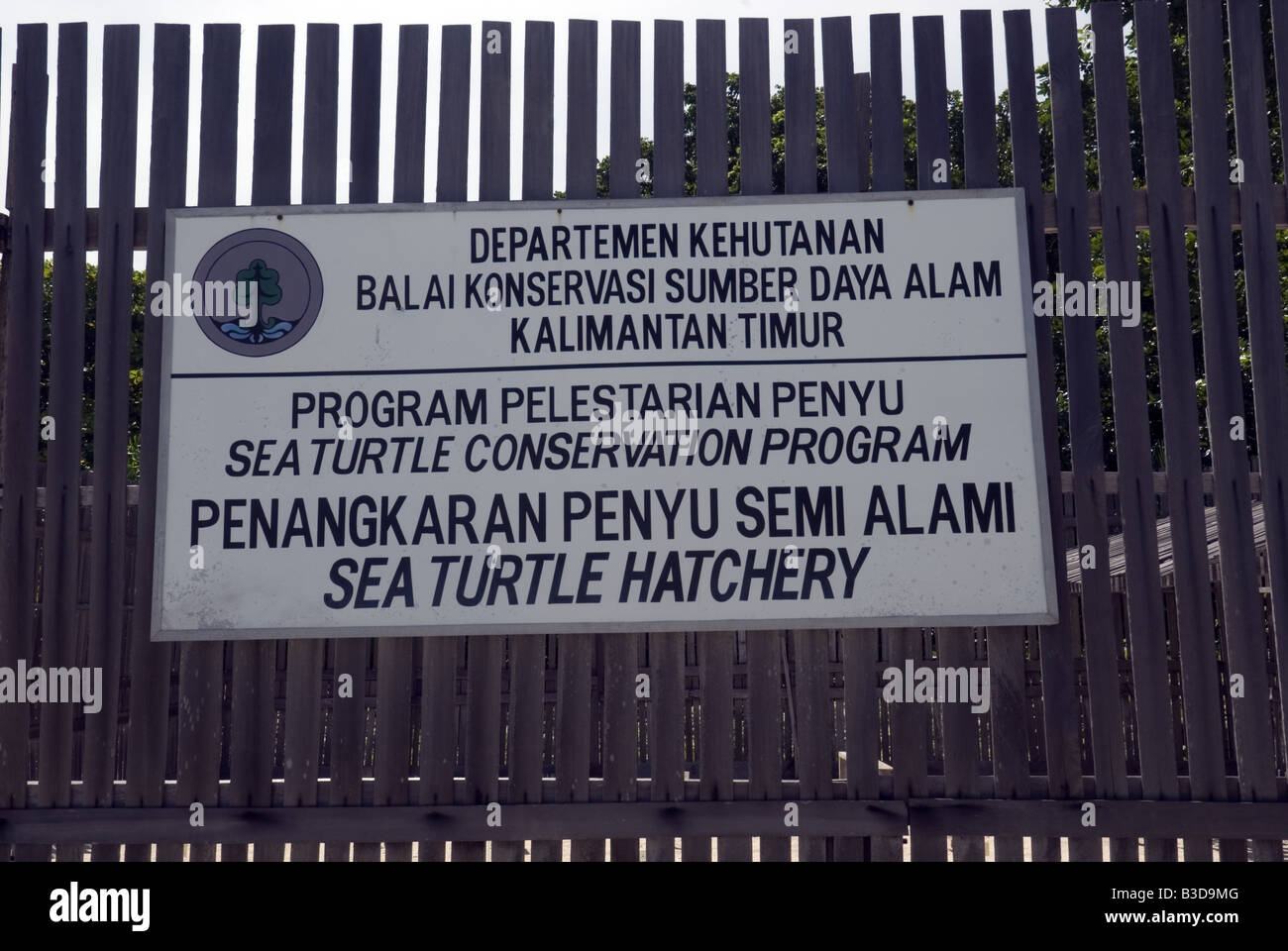 Turtle Hatchery of turtle conservation program for Sangalaki island in Indonesia Stock Photo