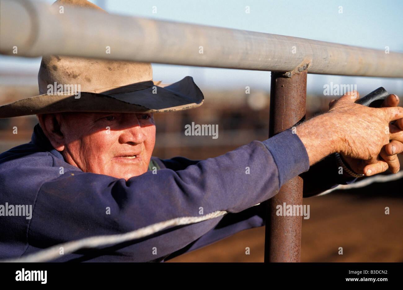 Sandy Kidd Cattle Farmer Mayfield Station Windorah Queensland Australia Stock Photo