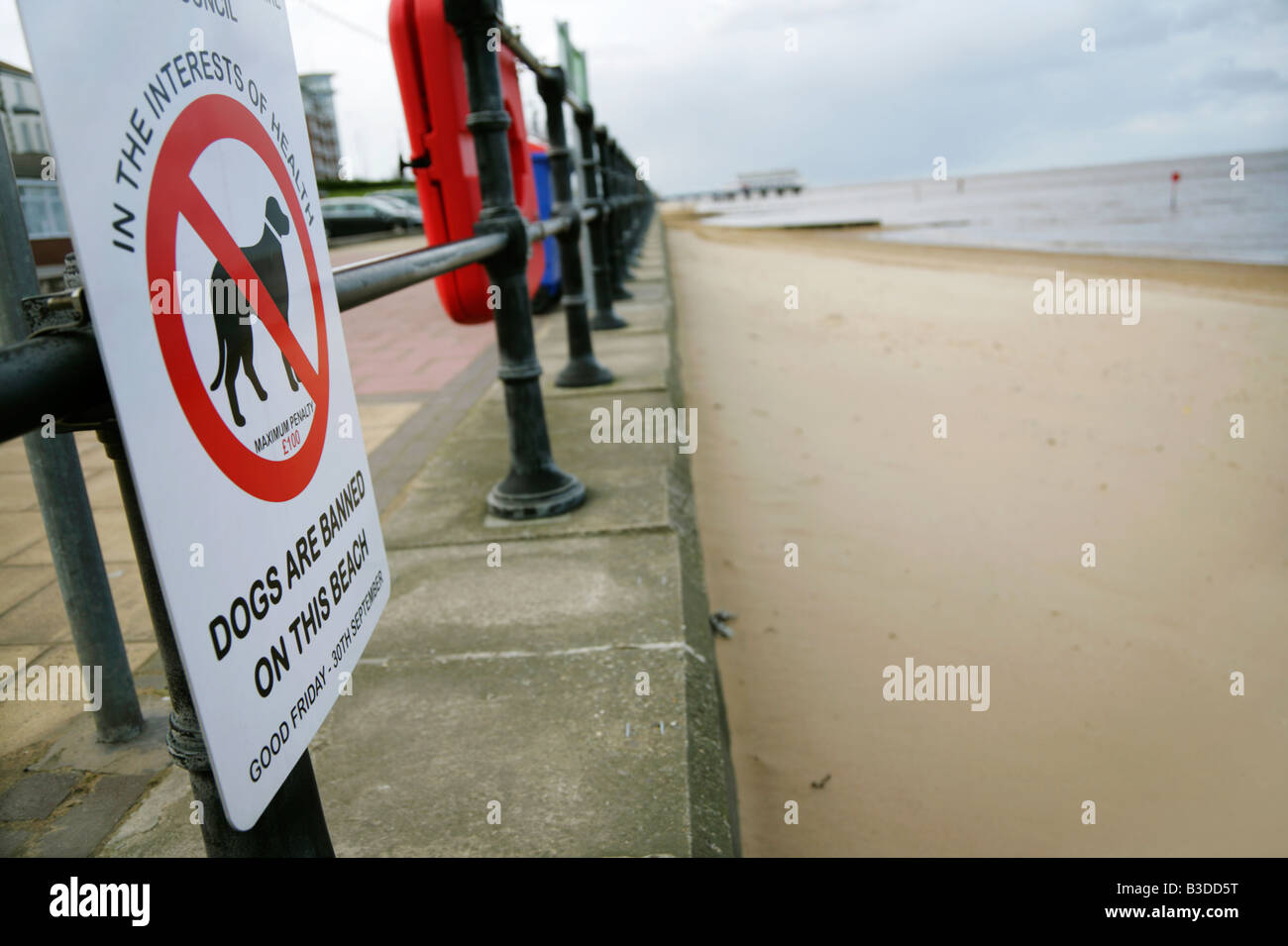 No Dogs sign, Central Promenade, Cleethorpes, England Stock Photo