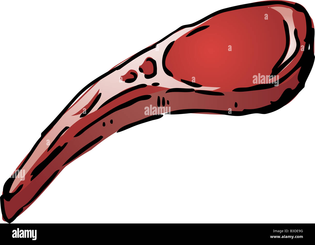 Raw lamb chop illustration sketch Stock Photo - Alamy