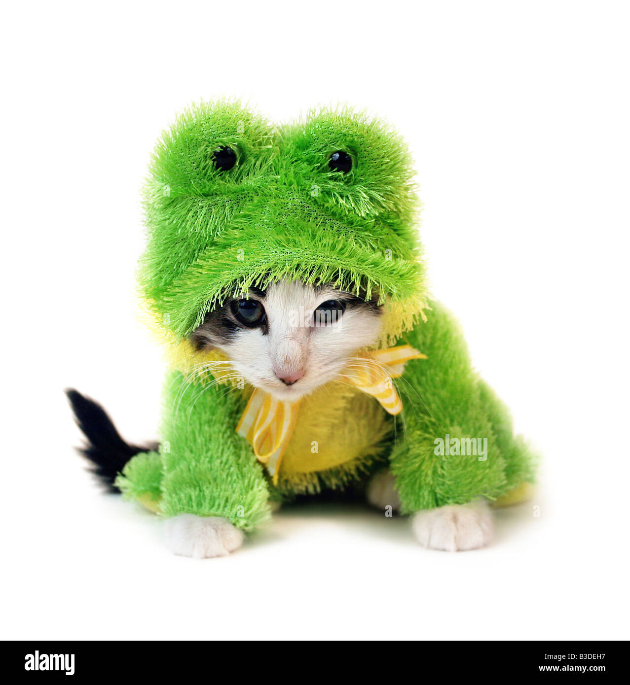 Frog costume Cut Out Stock Images & Pictures - Alamy