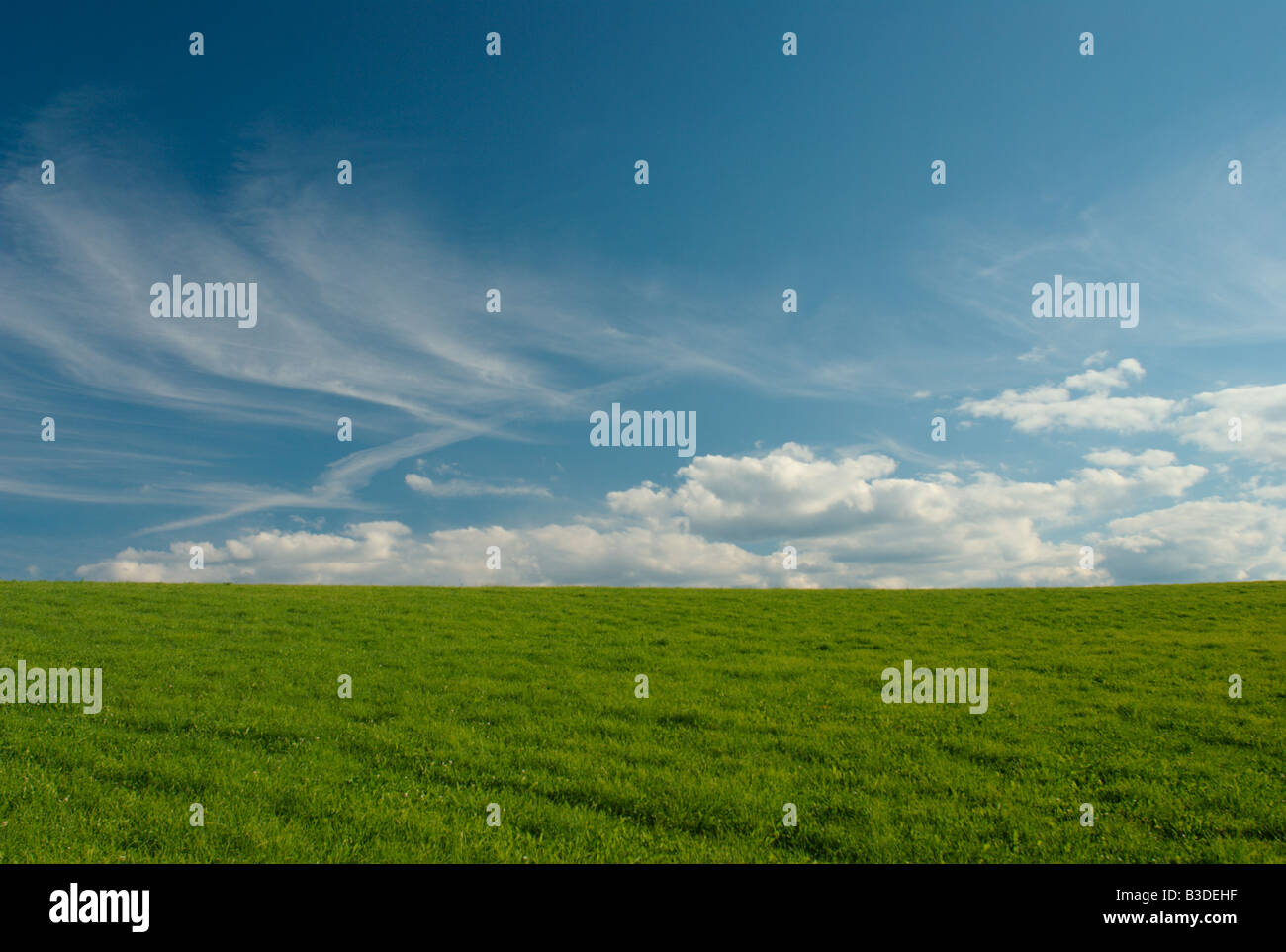 Green meadow and blue sky with clouds Stock Photo - Alamy