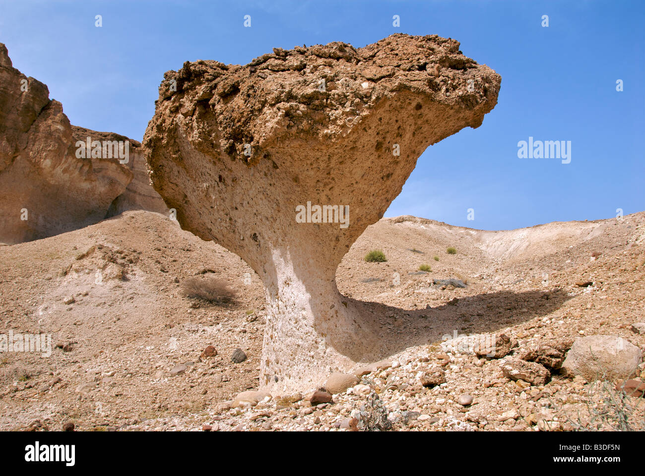 Desert mushrooms or sandstone geological formation Sharqiya Region Sultanate of Oman Stock Photo