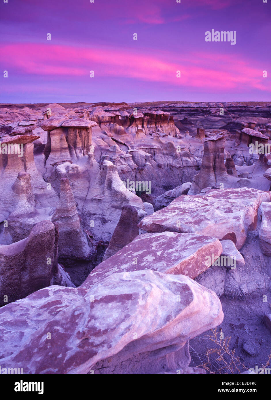 Weathered by wind and water hoodoos from the Fruitland and the Kirtland