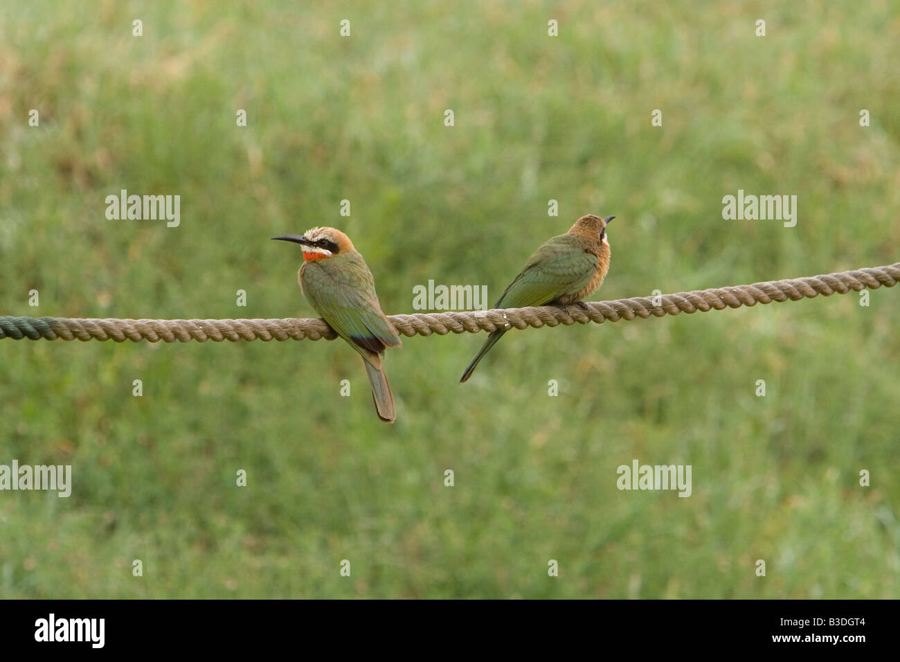 Two opposed hi-res stock photography and images - Alamy