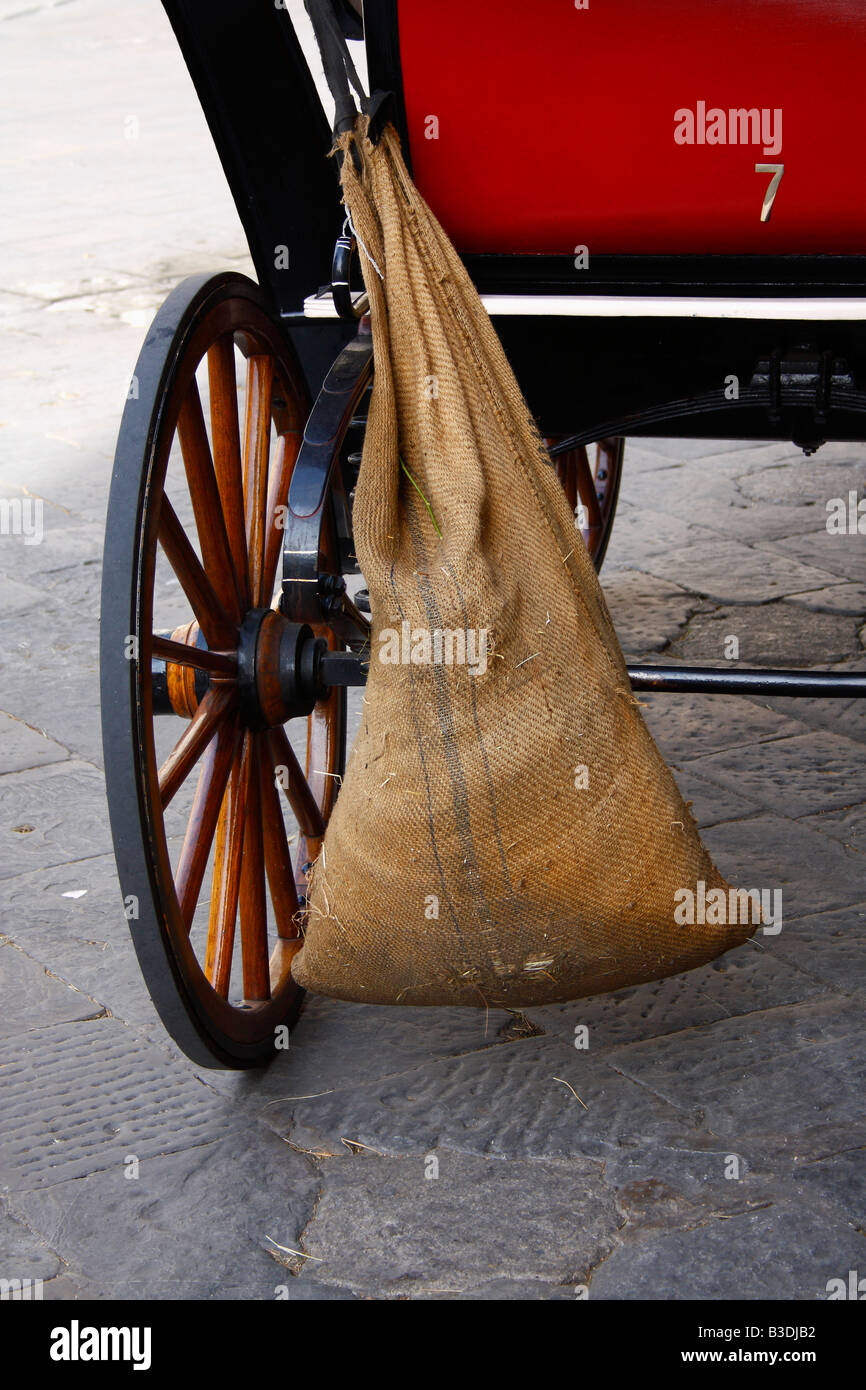 Back view of a horse pulling red carriage (wagon - cart), rear axle, straw bag. Florence, Italy August 2008 Stock Photo