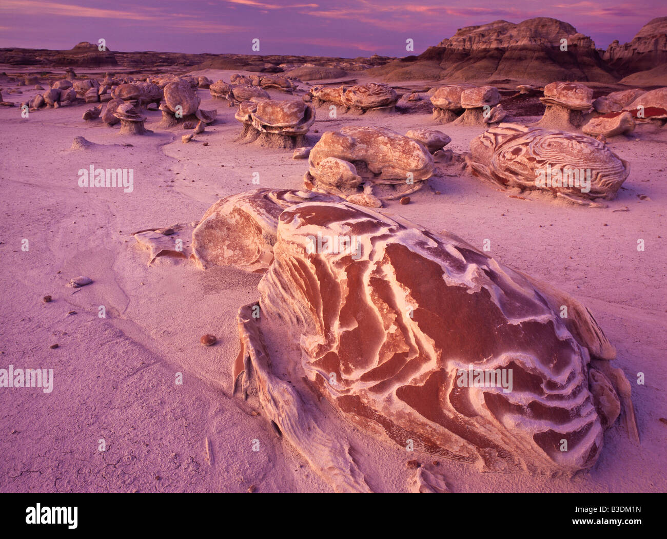 The Cracked Eggs rock formation at sunset in Bisti Badlands New Mexico Stock Photo