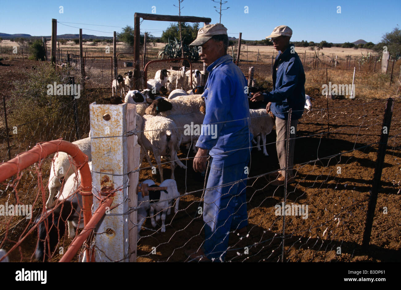 A livestock farm in Northern Cape, South Africa Stock Photo Alamy
