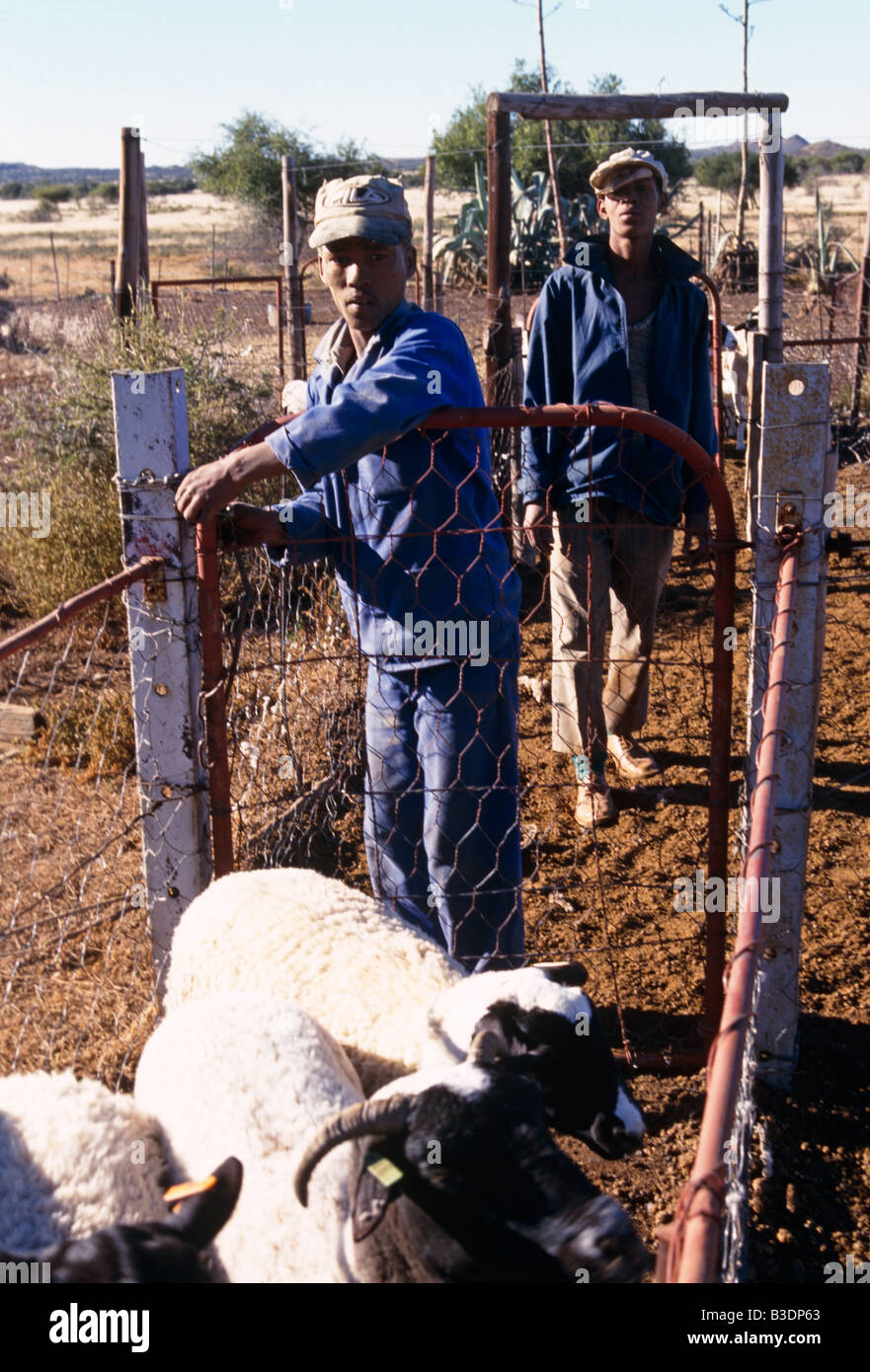 A livestock farm in Northern Cape, South Africa Stock Photo Alamy