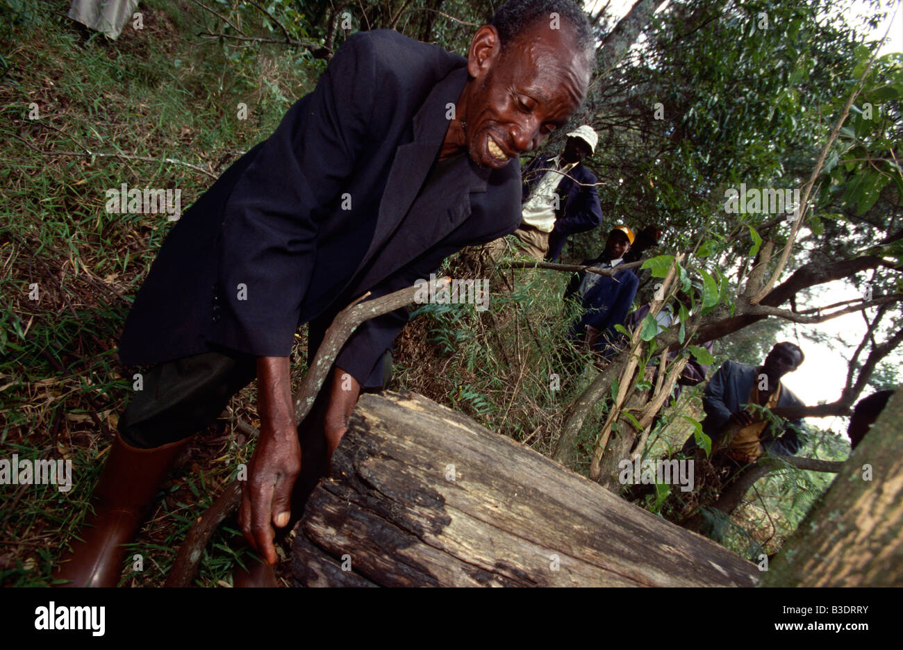 Beehive farming in Uganda. Stock Photo