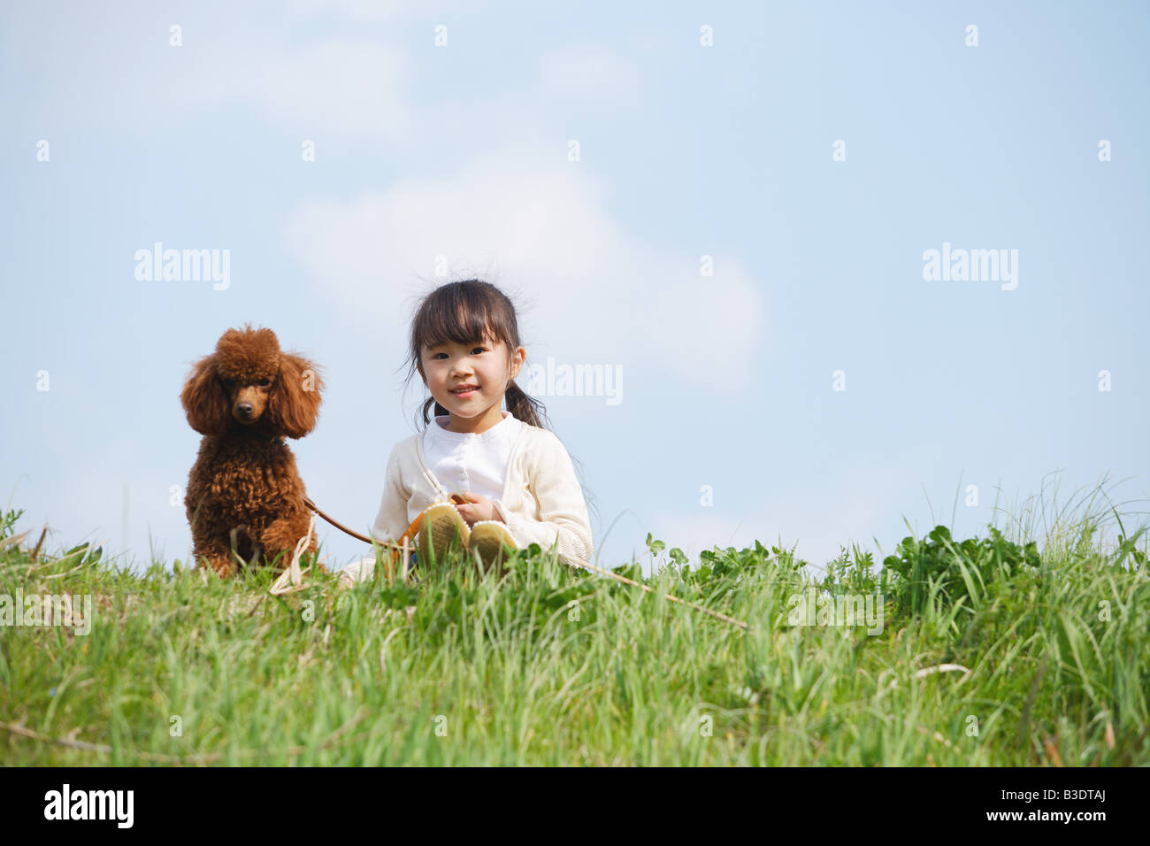 Smiling girl sitting with a cute puppy in park Stock Photo - Alamy