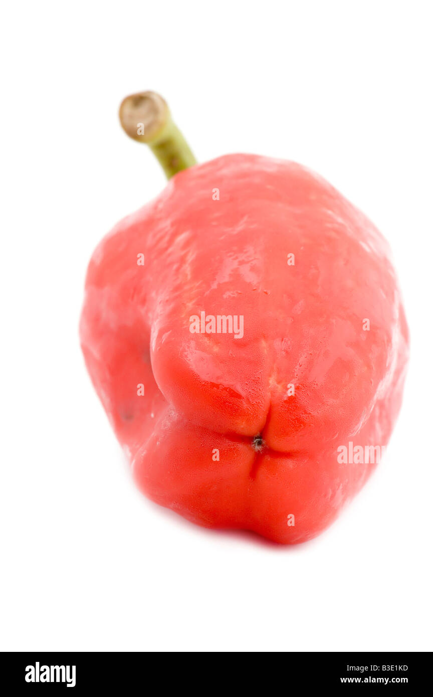 object on white raw food pepper Stock Photo