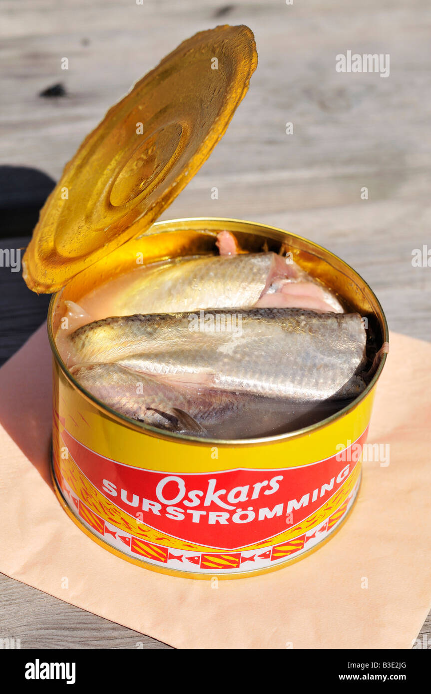 Best Mannerströms Surströmming with 10-12 Whole Herrings