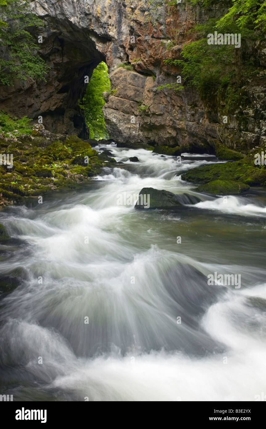 River Rak and Great Natural Bridge, Rakov Škocjan, Slovenia Stock Photo