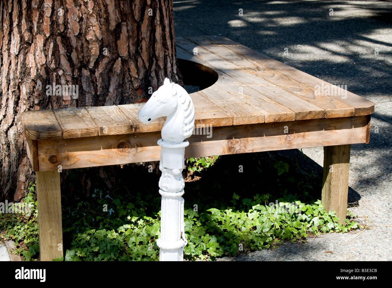 Small ornamental horse head in front of a bench surrounding a tree in Tiburon, California Stock Photo