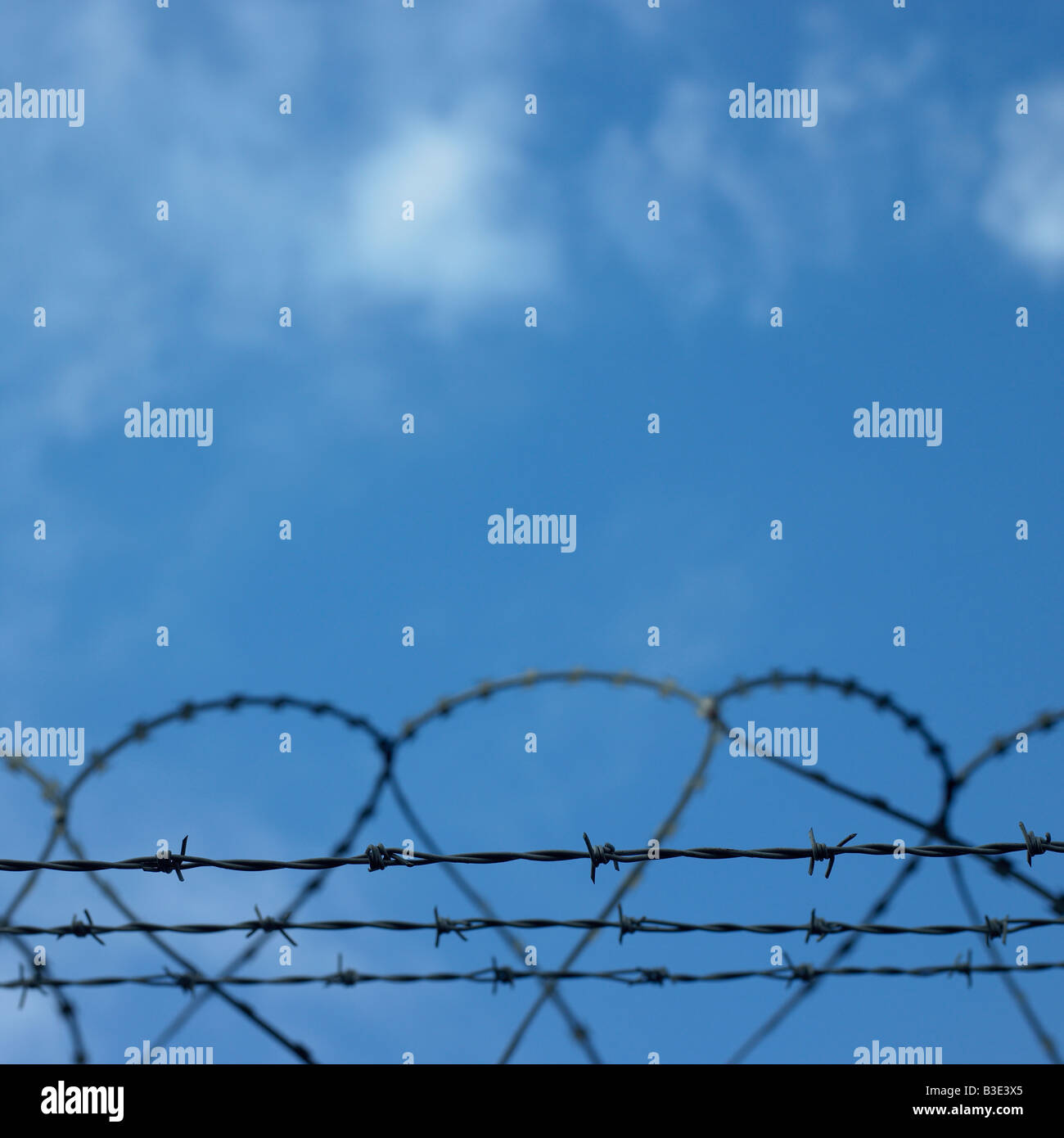 barbed wire fence Stock Photo