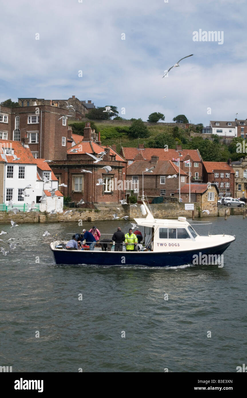 trawler whitby harbor habor north yorkshire uk fishing boat fleet catch