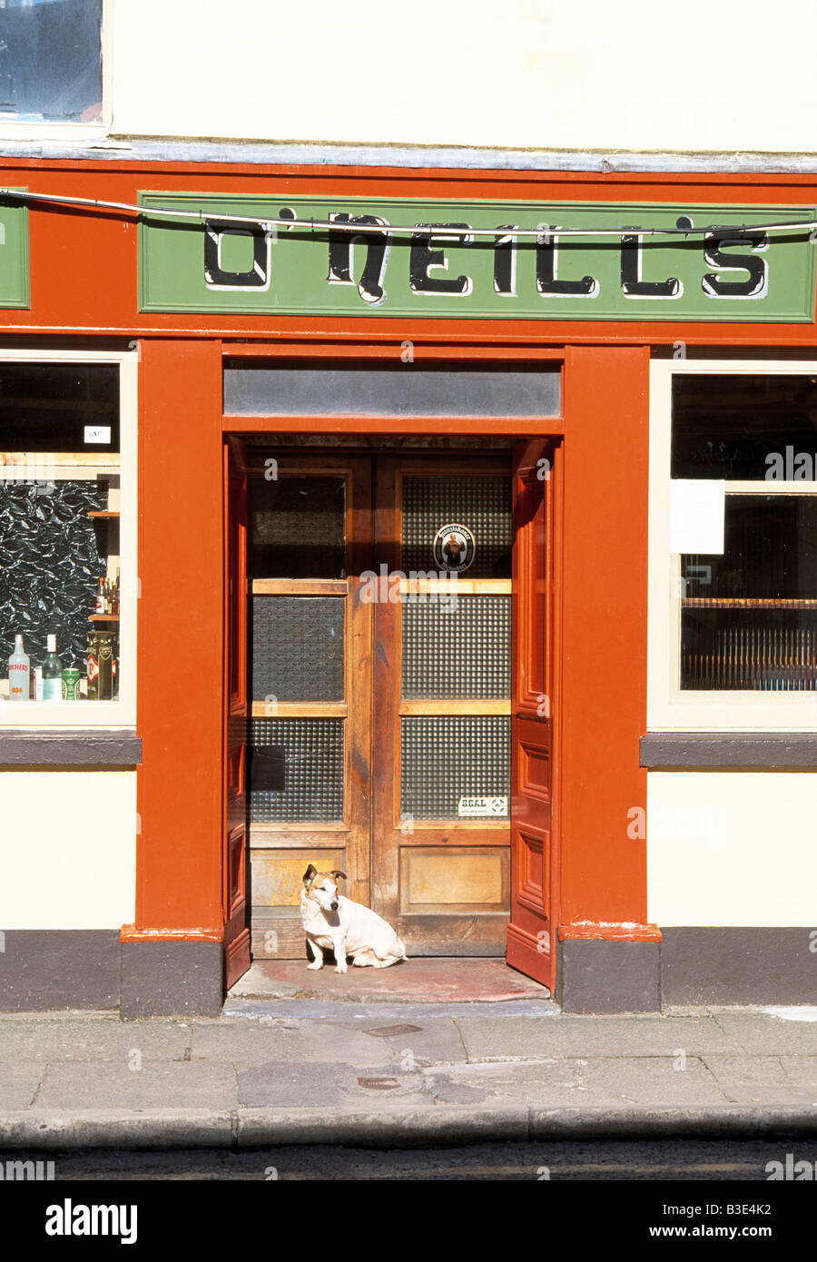 ireland county kerry, killorglin, bar pub grocery store with small dog sitting in doorway in a rural town, Stock Photo