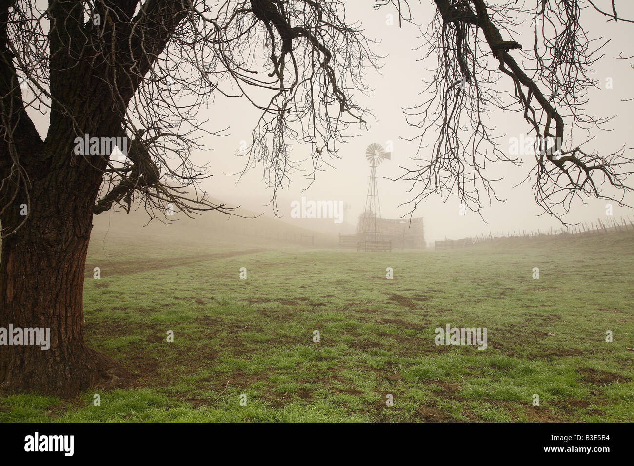 Fence windmill barn fog green grass hi-res stock photography and images ...