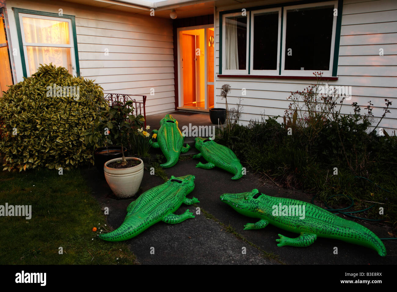 Inflatable crocodile series Suburbia Stock Photo