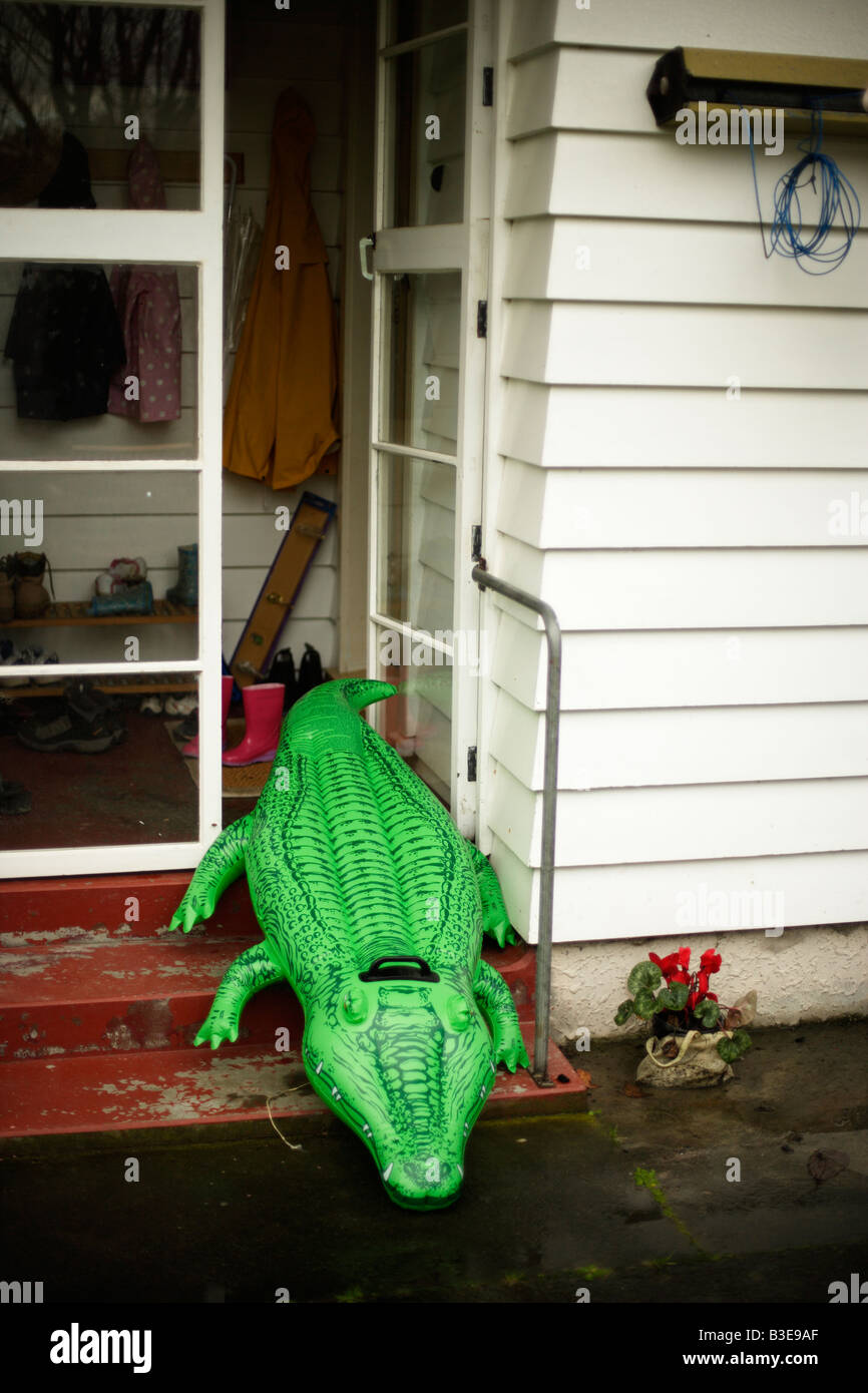 inflatable crocodile kmart