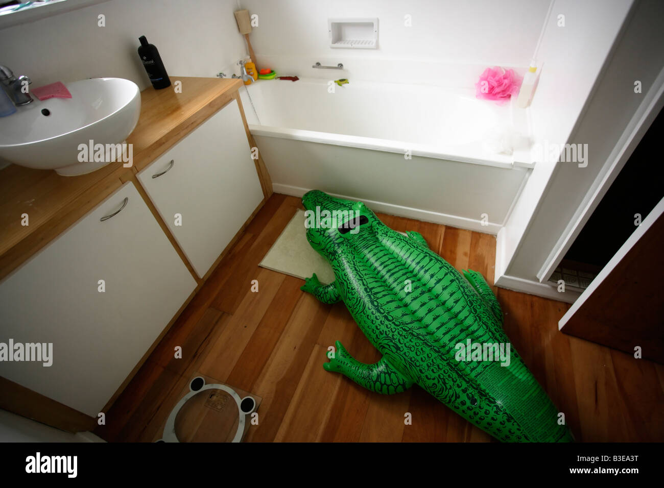 Inflatable crocodile series Searching for water Stock Photo