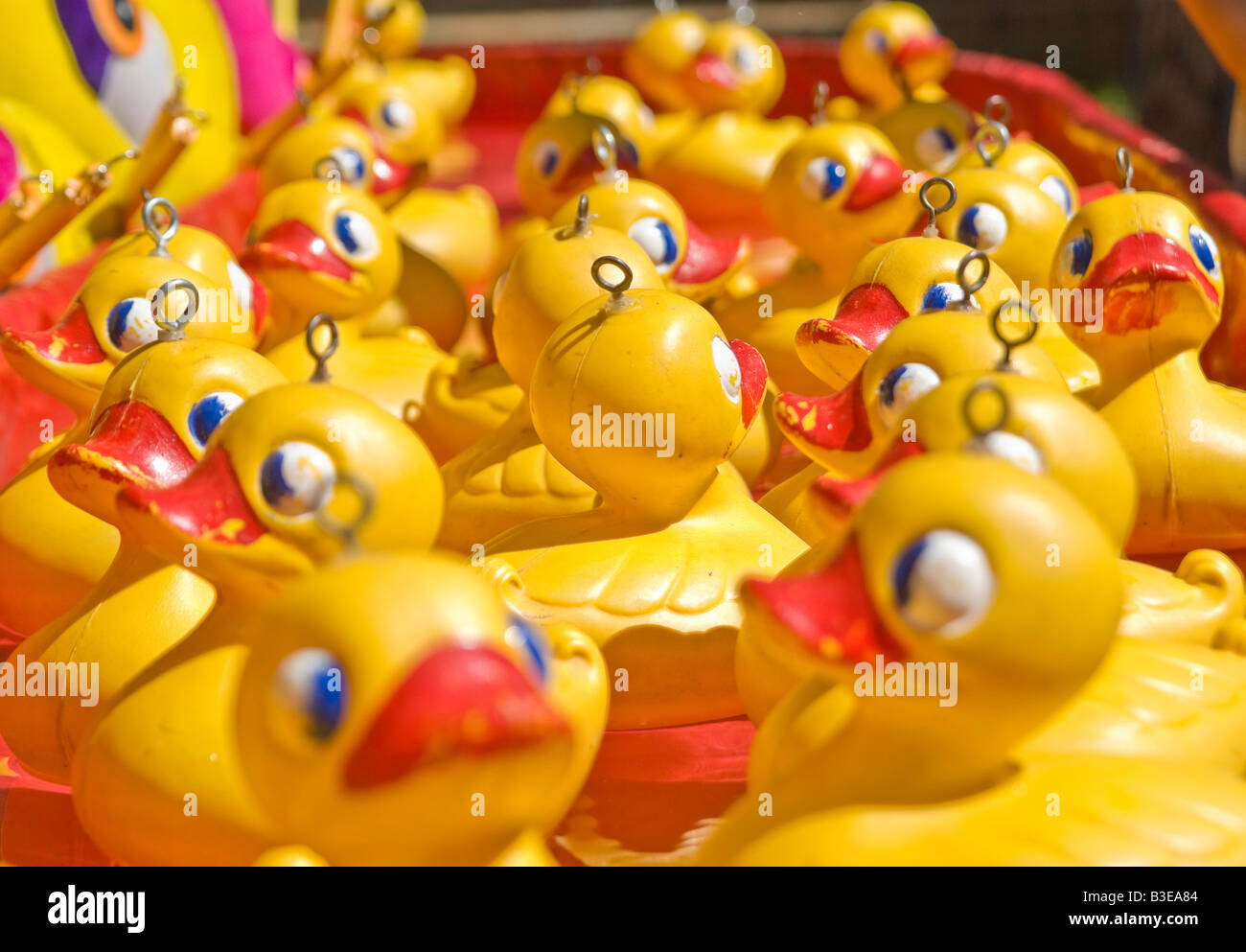 lots of rubber ducks floating along Stock Photo Alamy