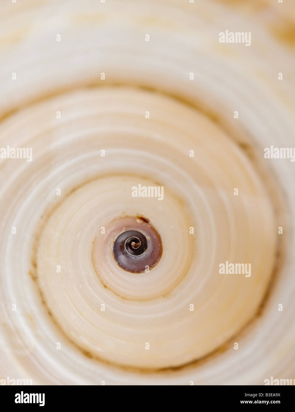 Swirling sea hi-res stock photography and images - Alamy