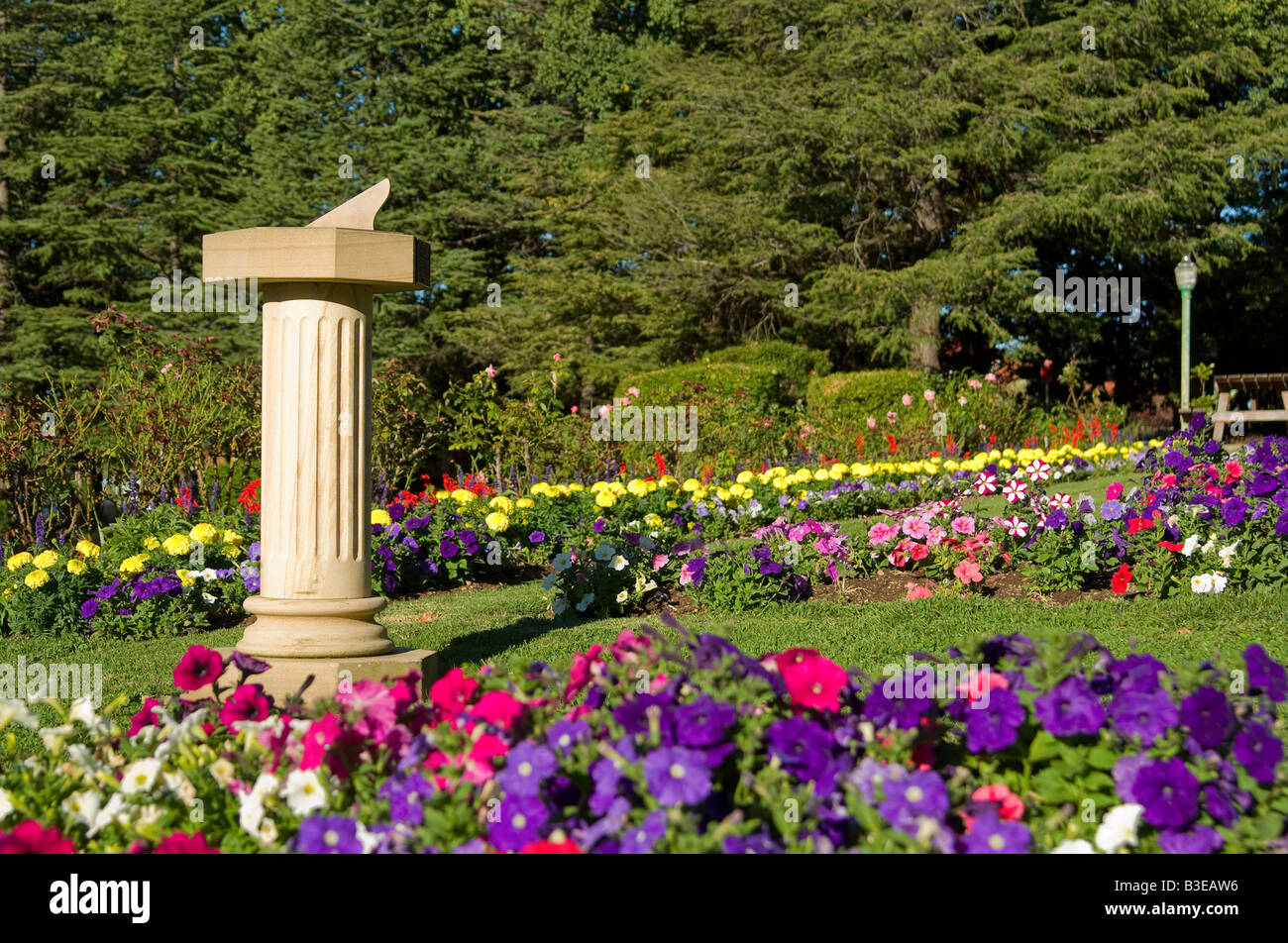 beautiful garden Stock Photo