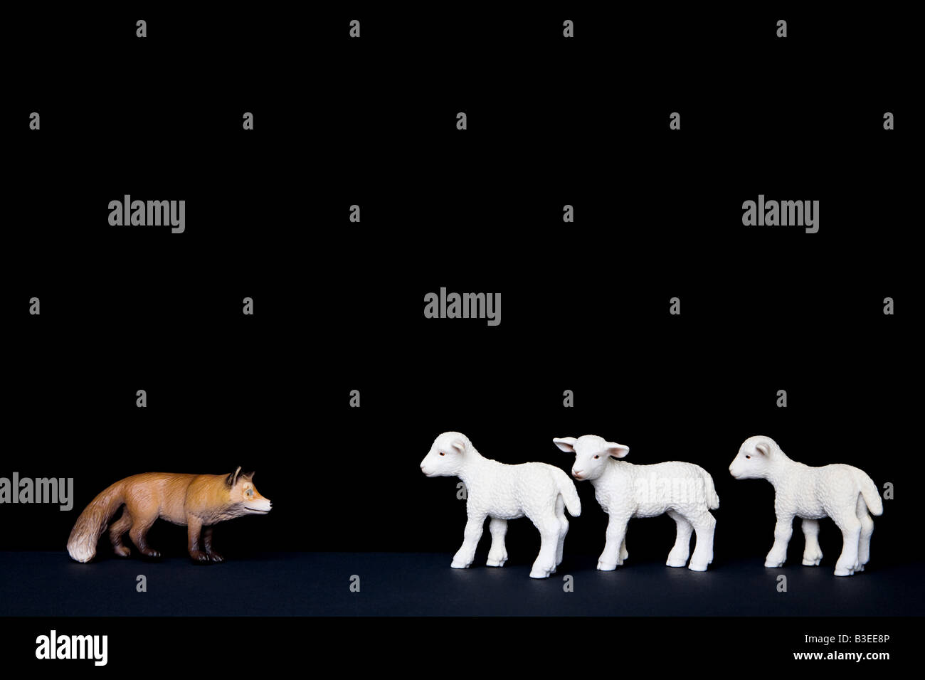 Toy fox hunting lambs Stock Photo Alamy