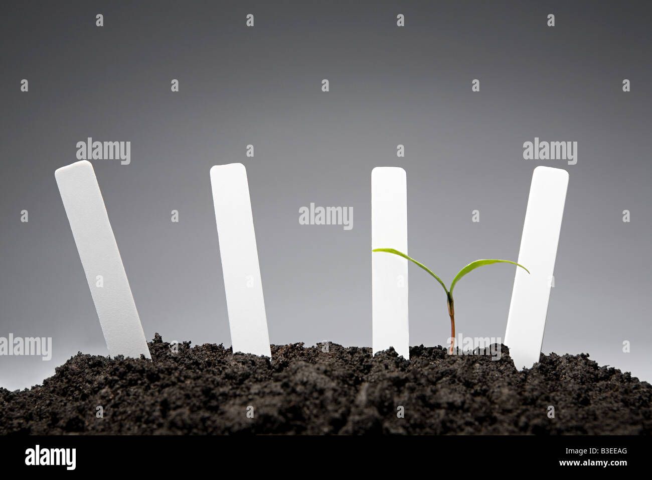 Labels High Resolution Stock Photography And Images Alamy