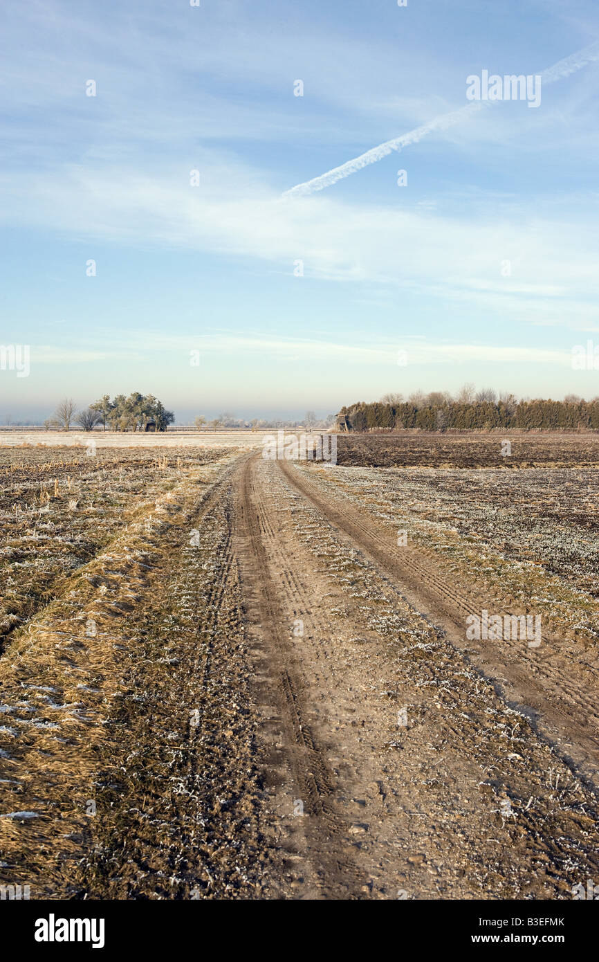 Frosty field Stock Photo