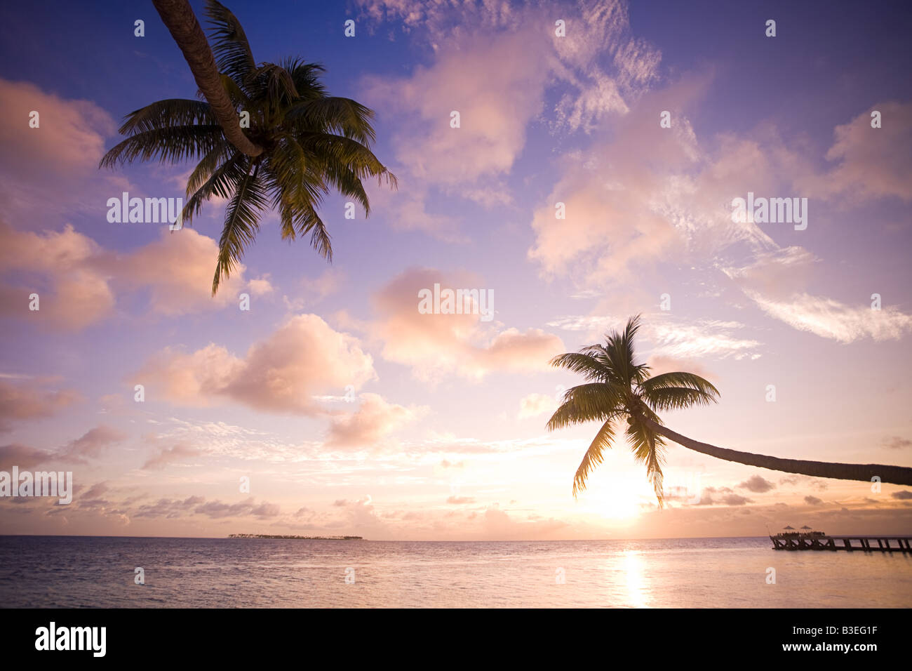 Sunrise over palm trees hi-res stock photography and images - Alamy