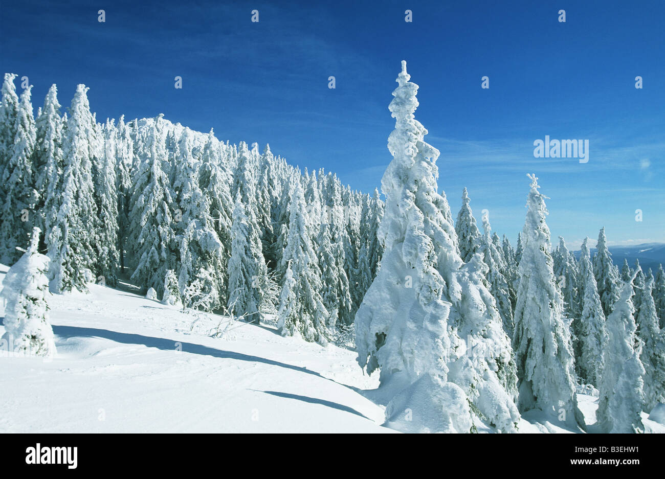 Beautiful winter scene Stock Photo - Alamy