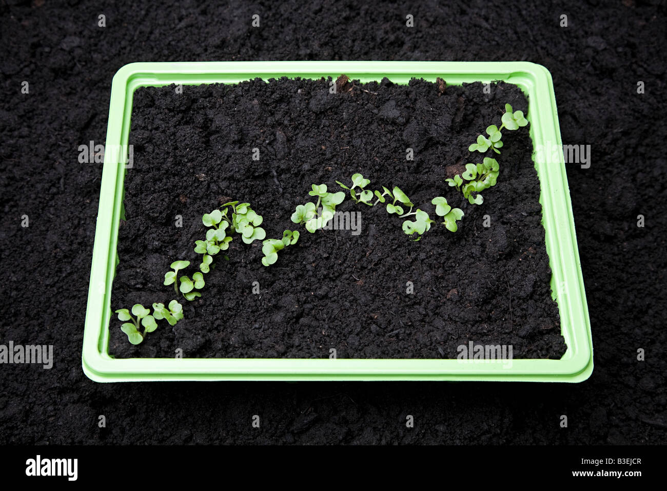 Plant graph hi-res stock photography and images - Alamy