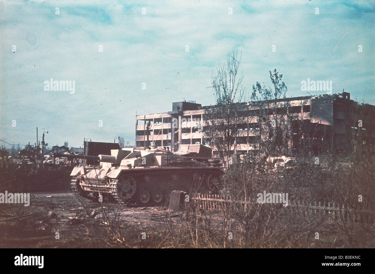 https://c8.alamy.com/comp/B3EKNC/stalingrad-oct1942-gerassault-artil-B3EKNC.jpg