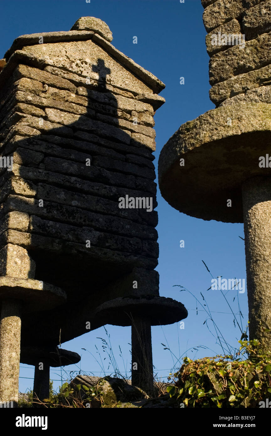 Typical granary called horreo in the village of Olveiroa WAY OF SAINT JAMES or CAMINO DE SANTIAGO in Galicia Spain Stock Photo